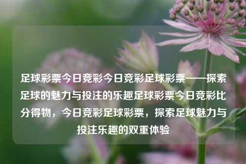 足球彩票今日竞彩今日竞彩足球彩票——探索足球的魅力与投注的乐趣足球彩票今日竞彩比分得物，今日竞彩足球彩票，探索足球魅力与投注乐趣的双重体验，今日竞彩足球彩票，探索足球魅力与投注乐趣的双重体验-第1张图片-彩票联盟