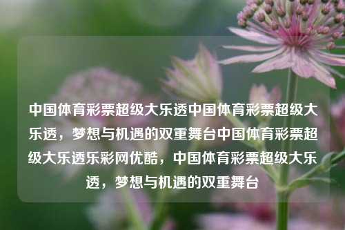 中国体育彩票超级大乐透中国体育彩票超级大乐透，梦想与机遇的双重舞台中国体育彩票超级大乐透乐彩网优酷，中国体育彩票超级大乐透，梦想与机遇的双重舞台，中国体育彩票超级大乐透，梦想与机遇的双重舞台-第1张图片-彩票联盟