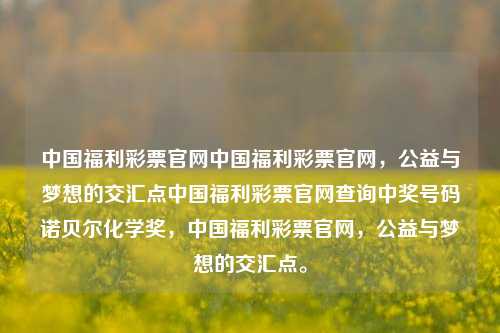 中国福利彩票官网中国福利彩票官网，公益与梦想的交汇点中国福利彩票官网查询中奖号码诺贝尔化学奖，中国福利彩票官网，公益与梦想的交汇点。，中国福利彩票官网，公益与梦想的交汇点-第1张图片-彩票联盟