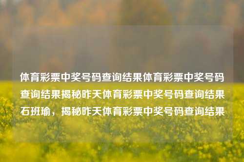 体育彩票中奖号码查询结果体育彩票中奖号码查询结果揭秘昨天体育彩票中奖号码查询结果石班瑜，揭秘昨天体育彩票中奖号码查询结果，体育彩票中奖号码揭秘，昨天的查询结果出炉-第1张图片-彩票联盟