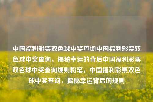 中国福利彩票双色球中奖查询中国福利彩票双色球中奖查询，揭秘幸运的背后中国福利彩票双色球中奖查询规则粉笔，中国福利彩票双色球中奖查询，揭秘幸运背后的规则，中国福利彩票双色球中奖查询与揭秘幸运背后的规则-第1张图片-彩票联盟