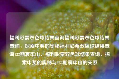 福利彩票双色球结果查询福利彩票双色球结果查询，探索中奖的奥秘福利彩票双色球结果查询132期哀牢山，福利彩票双色球结果查询，探索中奖的奥秘与132期哀牢山的关系，福利彩票双色球结果查询，探索中奖奥秘与132期哀牢山的关系-第1张图片-彩票联盟