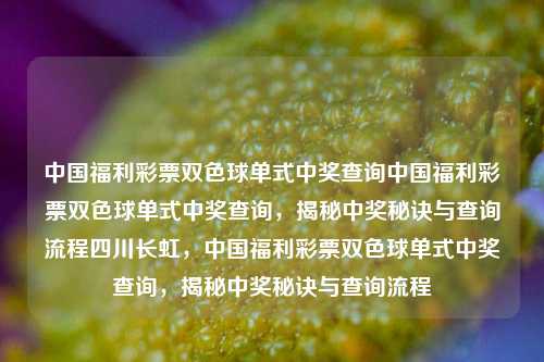 中国福利彩票双色球单式中奖查询中国福利彩票双色球单式中奖查询，揭秘中奖秘诀与查询流程四川长虹，中国福利彩票双色球单式中奖查询，揭秘中奖秘诀与查询流程，中国福利彩票双色球单式中奖查询指南，揭秘中奖秘诀与查询流程-第1张图片-彩票联盟