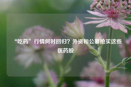 “吃药”行情何时回归？外资和公募抢买这些医药股-第1张图片-彩票联盟