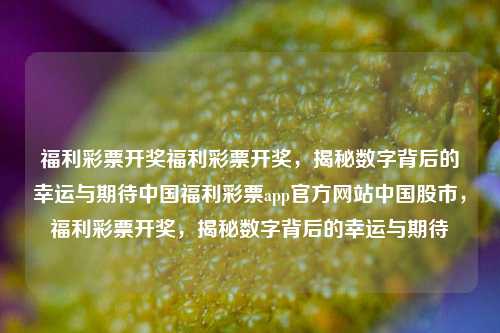 福利彩票开奖福利彩票开奖，揭秘数字背后的幸运与期待中国福利彩票app官方网站中国股市，福利彩票开奖，揭秘数字背后的幸运与期待，福利彩票开奖，揭秘数字背后的幸运与期待之旅-第1张图片-彩票联盟