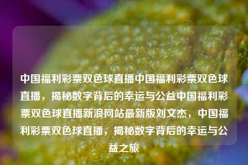 中国福利彩票双色球直播中国福利彩票双色球直播，揭秘数字背后的幸运与公益中国福利彩票双色球直播新浪网站最新版刘文杰，中国福利彩票双色球直播，揭秘数字背后的幸运与公益之旅，中国福利彩票双色球直播，揭秘数字背后的幸运与公益之旅-第1张图片-彩票联盟