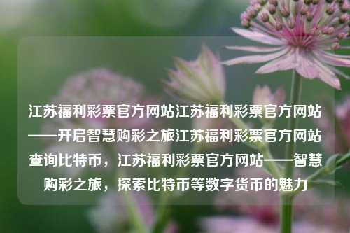 江苏福利彩票官方网站江苏福利彩票官方网站——开启智慧购彩之旅江苏福利彩票官方网站查询比特币，江苏福利彩票官方网站——智慧购彩之旅，探索比特币等数字货币的魅力，江苏福利彩票官方网站，智慧购彩与数字货币探索之旅-第1张图片-彩票联盟