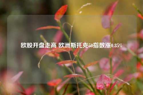 欧股开盘走高 欧洲斯托克50指数涨0.85%-第1张图片-彩票联盟