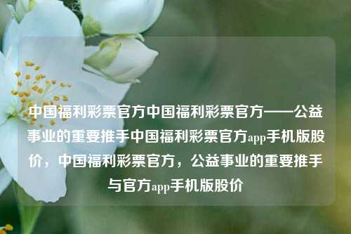 中国福利彩票官方中国福利彩票官方——公益事业的重要推手中国福利彩票官方app手机版股价，中国福利彩票官方，公益事业的重要推手与官方app手机版股价，中国福利彩票官方，公益事业的重要推手与官方APP手机版股价分析-第1张图片-彩票联盟