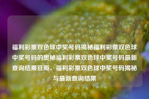 福利彩票双色球中奖号码揭秘福利彩票双色球中奖号码的奥秘福利彩票双色球中奖号码最新查询结果豆瓣，福利彩票双色球中奖号码揭秘与最新查询结果，福利彩票双色球中奖号码揭秘与最新查询结果汇总-第1张图片-彩票联盟