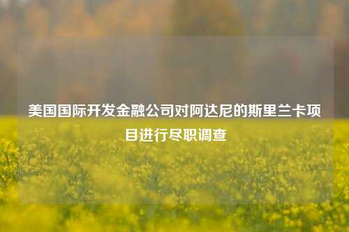 美国国际开发金融公司对阿达尼的斯里兰卡项目进行尽职调查-第1张图片-彩票联盟