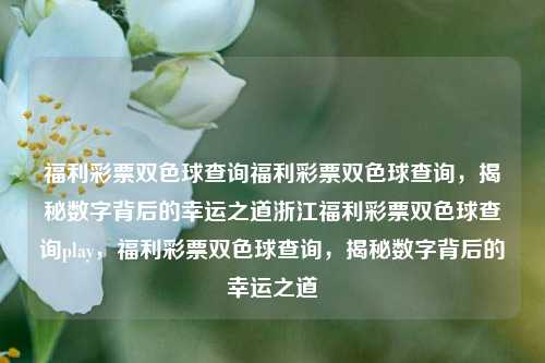 福利彩票双色球查询福利彩票双色球查询，揭秘数字背后的幸运之道浙江福利彩票双色球查询play，福利彩票双色球查询，揭秘数字背后的幸运之道，福利彩票双色球查询，揭秘数字背后的幸运之道-第1张图片-彩票联盟