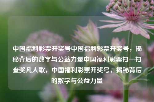 中国福利彩票开奖号中国福利彩票开奖号，揭秘背后的数字与公益力量中国福利彩票扫一扫查奖凡人歌，中国福利彩票开奖号，揭秘背后的数字与公益力量，中国福利彩票开奖号，揭秘背后的数字与公益力量共融-第1张图片-彩票联盟