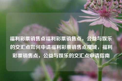 福利彩票销售点福利彩票销售点，公益与娱乐的交汇点如何申请福利彩票销售点魔域，福利彩票销售点，公益与娱乐的交汇点申请指南，福利彩票销售点，公益与娱乐的交汇点申请指南-第1张图片-彩票联盟