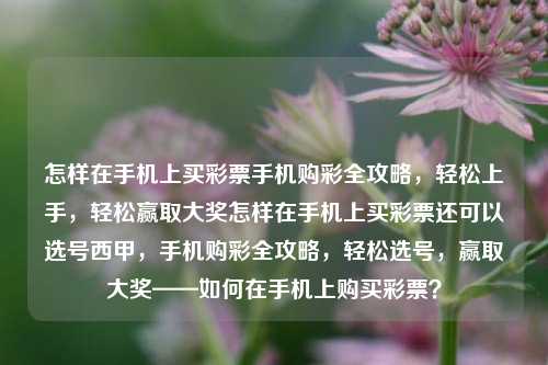 怎样在手机上买彩票手机购彩全攻略，轻松上手，轻松赢取大奖怎样在手机上买彩票还可以选号西甲，手机购彩全攻略，轻松选号，赢取大奖——如何在手机上购买彩票？，手机购彩全攻略，轻松选号，赢取大奖的购买指南-第1张图片-彩票联盟