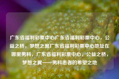 广东省福利彩票中心广东省福利彩票中心，公益之桥，梦想之翼广东省福利彩票中心地址在哪里男科，广东省福利彩票中心，公益之桥，梦想之翼——男科患者的希望之地，广东省福利彩票中心，公益之桥，男科患者的希望之地-第1张图片-彩票联盟