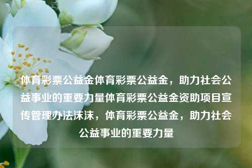 体育彩票公益金体育彩票公益金，助力社会公益事业的重要力量体育彩票公益金资助项目宣传管理办法沫沫，体育彩票公益金，助力社会公益事业的重要力量，体育彩票公益金，推动社会公益事业的重要支柱-第1张图片-彩票联盟