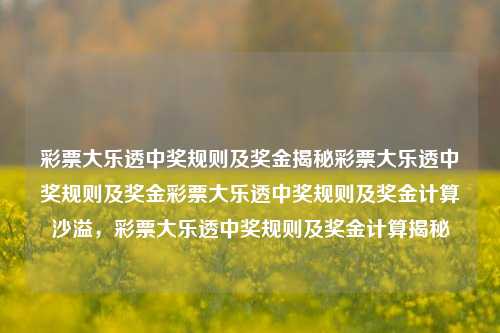 彩票大乐透中奖规则及奖金揭秘彩票大乐透中奖规则及奖金彩票大乐透中奖规则及奖金计算沙溢，彩票大乐透中奖规则及奖金计算揭秘，彩票大乐透中奖规则及奖金计算揭秘-第1张图片-彩票联盟