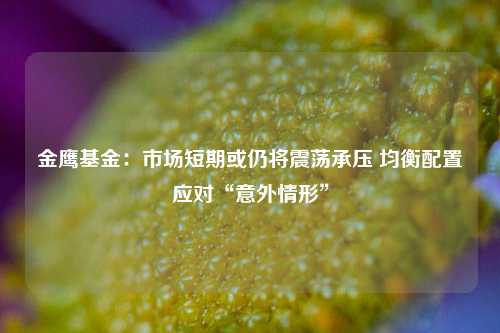 金鹰基金：市场短期或仍将震荡承压 均衡配置应对“意外情形”-第1张图片-彩票联盟