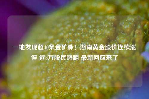 一地发现超40条金矿脉！湖南黄金股价连续涨停 近8万股民嗨翻 最新回应来了-第1张图片-彩票联盟