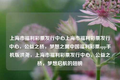 上海市福利彩票发行中心上海市福利彩票发行中心，公益之桥，梦想之翼中国福利彩票app手机版洪尧，上海市福利彩票发行中心，公益之桥，梦想启航的翅膀，上海市福利彩票发行中心，公益之桥，梦想启航的翅膀-第1张图片-彩票联盟