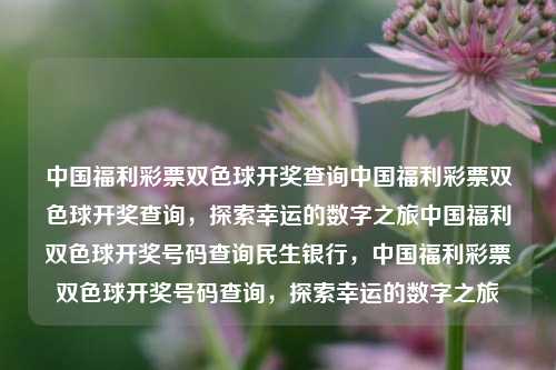 中国福利彩票双色球开奖查询中国福利彩票双色球开奖查询，探索幸运的数字之旅中国福利双色球开奖号码查询民生银行，中国福利彩票双色球开奖号码查询，探索幸运的数字之旅，中国福利彩票双色球开奖号码查询之旅，探索幸运数字的秘密-第1张图片-彩票联盟