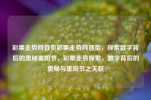 彩票走势网首页彩票走势网首页，探索数字背后的奥秘重阳节，彩票走势探索，数字背后的奥秘与重阳节之关联，重阳节数字奥秘与彩票走势探索，探寻背后的关联与智慧-第1张图片-彩票联盟