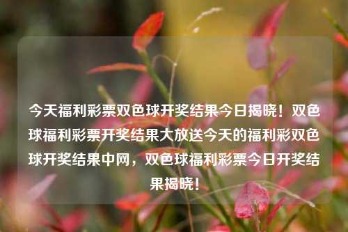 今天福利彩票双色球开奖结果今日揭晓！双色球福利彩票开奖结果大放送今天的福利彩双色球开奖结果中网，双色球福利彩票今日开奖结果揭晓！，双色球福利彩票今日开奖结果大揭晓！-第1张图片-彩票联盟