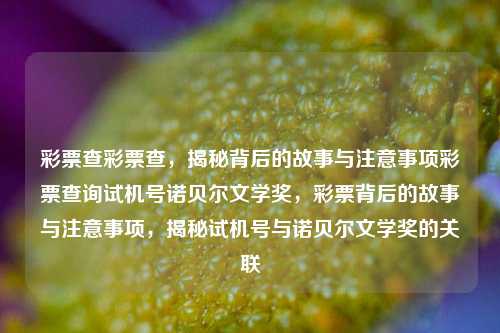 彩票查彩票查，揭秘背后的故事与注意事项彩票查询试机号诺贝尔文学奖，彩票背后的故事与注意事项，揭秘试机号与诺贝尔文学奖的关联，揭秘彩票背后的故事与注意事项，试机号与诺贝尔文学奖的关联探索-第1张图片-彩票联盟