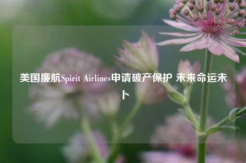 美国廉航Spirit Airlines申请破产保护 未来命运未卜-第1张图片-彩票联盟