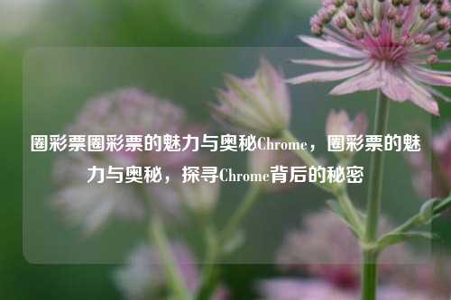 圈彩票圈彩票的魅力与奥秘Chrome，圈彩票的魅力与奥秘，探寻Chrome背后的秘密，圈彩票的魅力与奥秘，探寻Chrome背后的秘密-第1张图片-彩票联盟