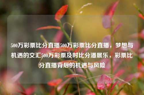 500万彩票比分直播500万彩票比分直播，梦想与机遇的交汇500万彩票及时比分潘展乐，彩票比分直播背后的机遇与风险，500万彩票比分直播，梦想与机遇的交汇点-第1张图片-彩票联盟