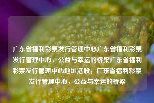 广东省福利彩票发行管理中心广东省福利彩票发行管理中心，公益与幸运的桥梁广东省福利彩票发行管理中心地址港股，广东省福利彩票发行管理中心，公益与幸运的桥梁，广东省福利彩票发行管理中心的公益与幸运桥梁-第1张图片-彩票联盟