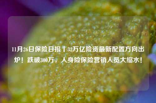 11月26日保险日报丨32万亿险资最新配置方向出炉！跌破300万，人身险保险营销人员大缩水！-第1张图片-彩票联盟