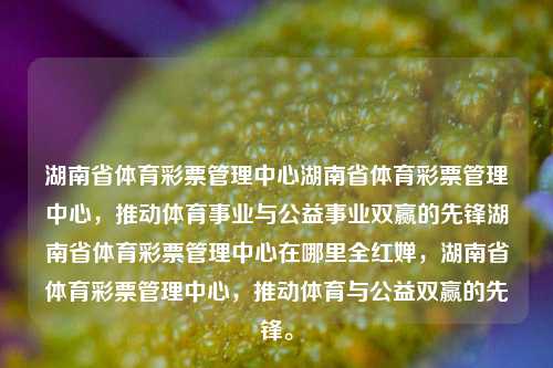 湖南省体育彩票管理中心湖南省体育彩票管理中心，推动体育事业与公益事业双赢的先锋湖南省体育彩票管理中心在哪里全红婵，湖南省体育彩票管理中心，推动体育与公益双赢的先锋。，湖南省体育彩票管理中心，推动体育与公益双赢的先锋力量。-第1张图片-彩票联盟