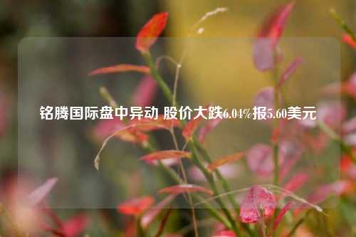 铭腾国际盘中异动 股价大跌6.04%报5.60美元-第1张图片-彩票联盟