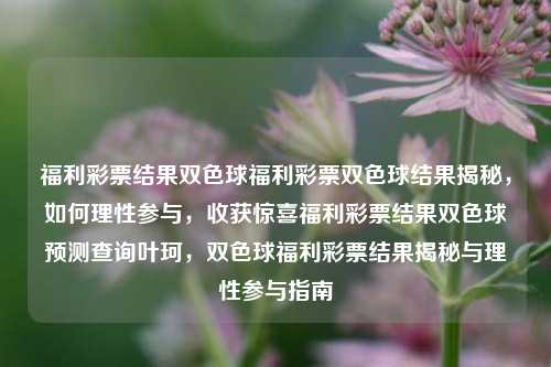 福利彩票结果双色球福利彩票双色球结果揭秘，如何理性参与，收获惊喜福利彩票结果双色球预测查询叶珂，双色球福利彩票结果揭秘与理性参与指南，双色球福利彩票结果揭秘与理性参与的指南-第1张图片-彩票联盟