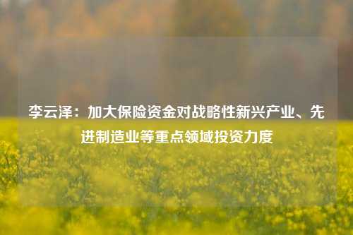 李云泽：加大保险资金对战略性新兴产业、先进制造业等重点领域投资力度-第1张图片-彩票联盟