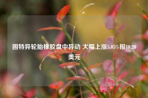 固特异轮胎橡胶盘中异动 大幅上涨5.05%报10.20美元-第1张图片-彩票联盟