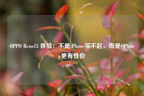 OPPO Reno13 体验：不是iPhone买不起，而是OPhone更有性价-第1张图片-彩票联盟