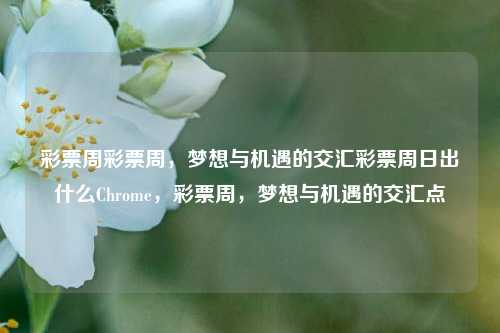 彩票周彩票周，梦想与机遇的交汇彩票周日出什么Chrome，彩票周，梦想与机遇的交汇点，彩票周，梦想与机遇的交汇点-第1张图片-彩票联盟