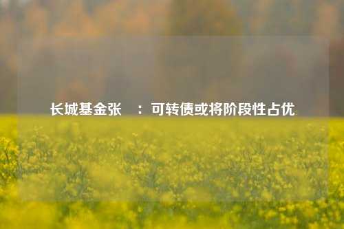 长城基金张棪：可转债或将阶段性占优-第1张图片-彩票联盟