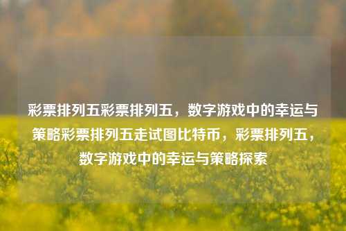 彩票排列五彩票排列五，数字游戏中的幸运与策略彩票排列五走试图比特币，彩票排列五，数字游戏中的幸运与策略探索，彩票排列五，幸运与策略的数字游戏探索-第1张图片-彩票联盟