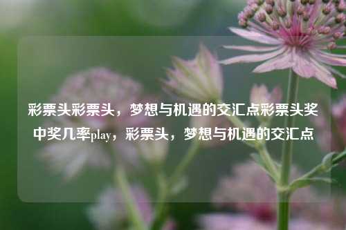 彩票头彩票头，梦想与机遇的交汇点彩票头奖中奖几率play，彩票头，梦想与机遇的交汇点，彩票头，梦想与机遇的交汇点-第1张图片-彩票联盟