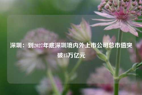 深圳：到2027年底深圳境内外上市公司总市值突破15万亿元-第1张图片-彩票联盟