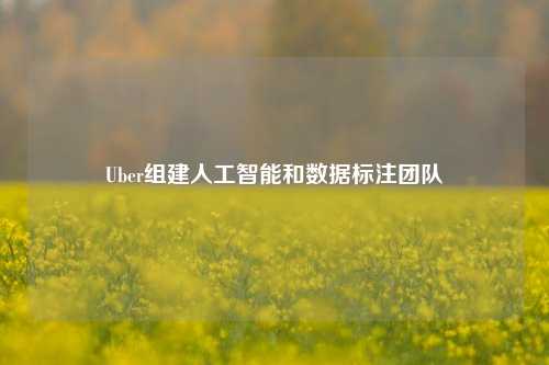 Uber组建人工智能和数据标注团队-第1张图片-彩票联盟