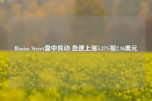 Rimini Street盘中异动 急速上涨5.37%报2.16美元-第1张图片-彩票联盟