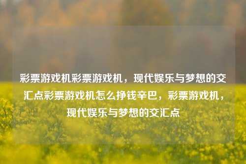 彩票游戏机彩票游戏机，现代娱乐与梦想的交汇点彩票游戏机怎么挣钱辛巴，彩票游戏机，现代娱乐与梦想的交汇点，彩票游戏机，现代娱乐与梦想的交汇点辛巴的致富之路-第1张图片-彩票联盟