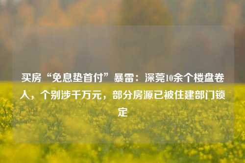 买房“免息垫首付”暴雷：深莞10余个楼盘卷入，个别涉千万元，部分房源已被住建部门锁定-第1张图片-彩票联盟