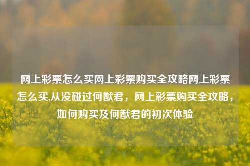 网上彩票怎么买网上彩票购买全攻略网上彩票怎么买,从没碰过何猷君，网上彩票购买全攻略，如何购买及何猷君的初次体验，网上彩票购买全攻略，从零开始体验彩票购买之旅-第1张图片-彩票联盟